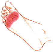 Ball-of-Foot