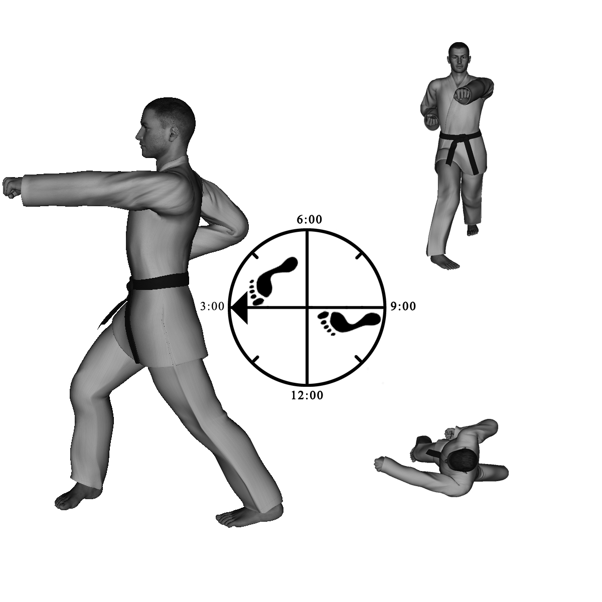 14) Left Thrusting Straight Punch