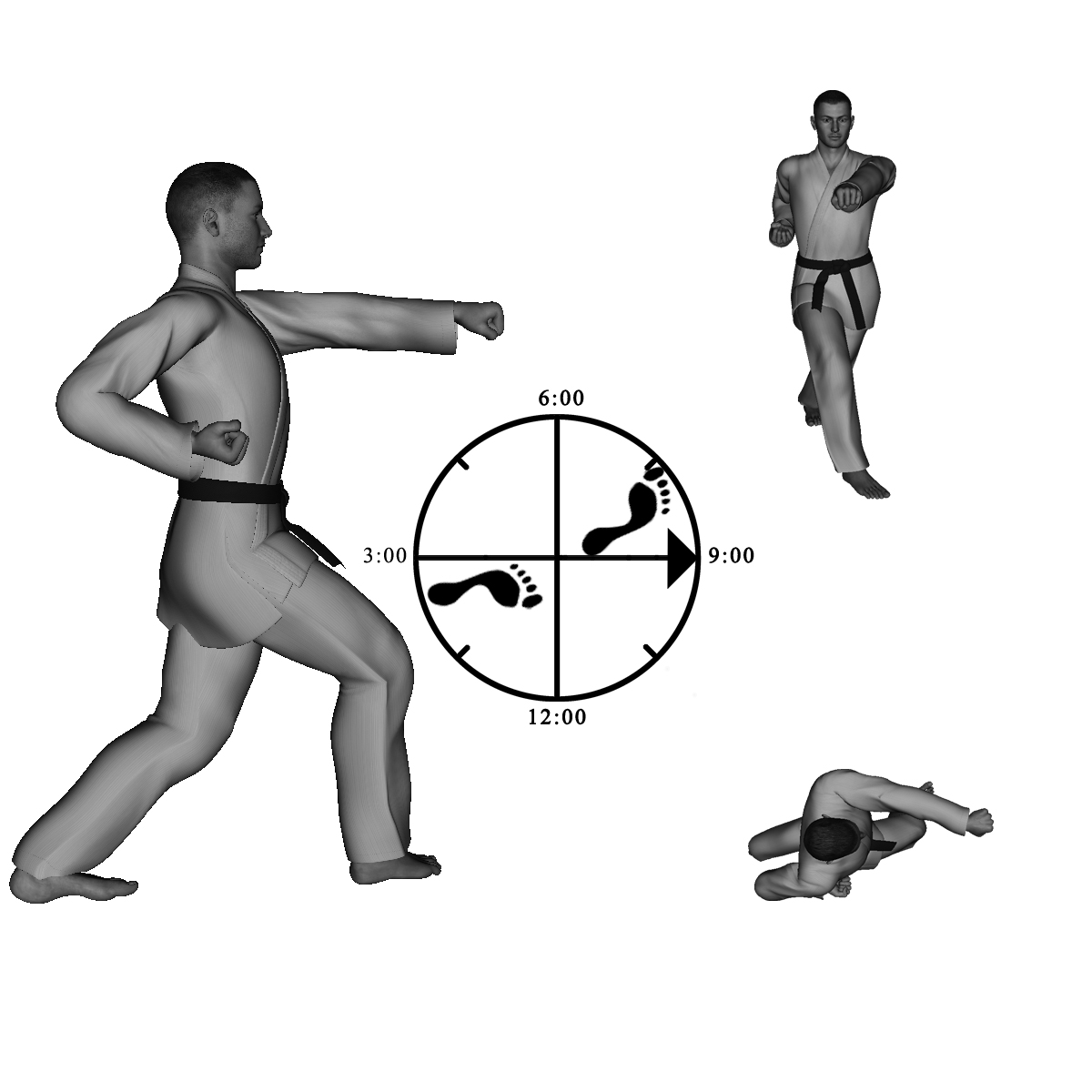 10a) Right Cover Step