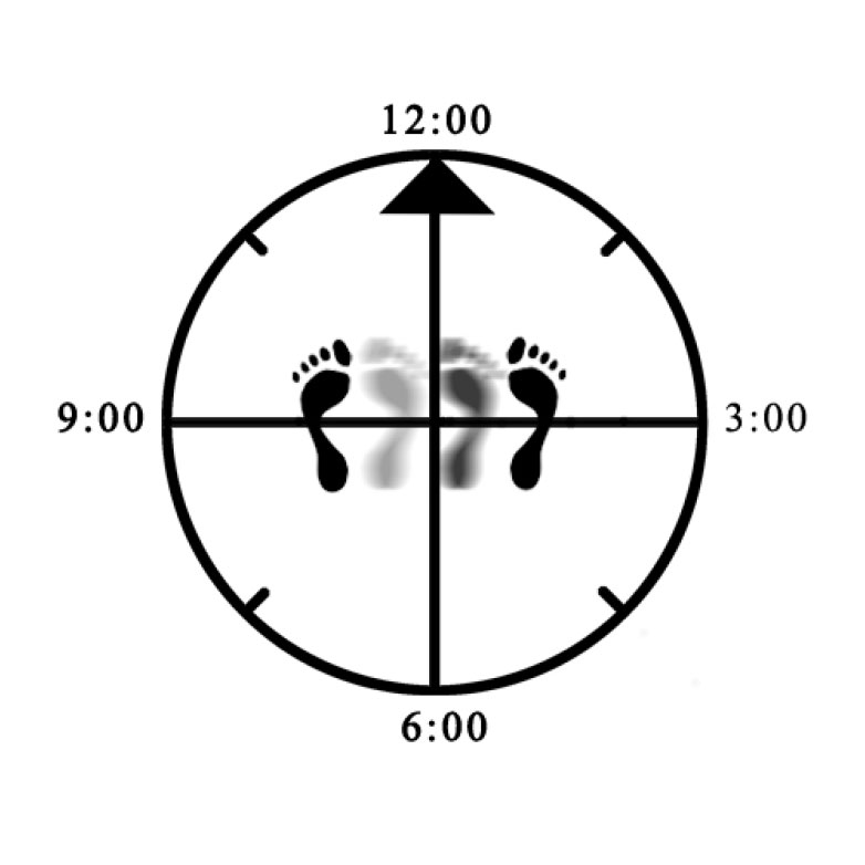 Example of stepping out with wrong foot into meditating Horse Example of stepping out with wrong foot into meditating Horse