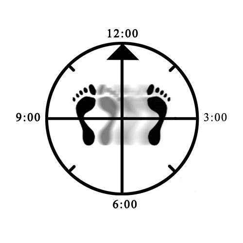 Example of stepping out with wrong foot into meditating Horse Example of stepping out with wrong foot into meditating Horse