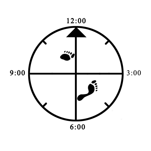 Example of improper foot rotation (front - not facing directly forward) for 45 degree Cat (left) Example of improper foot rotation (front - not facing directly forward) for 45 degree Cat (left)