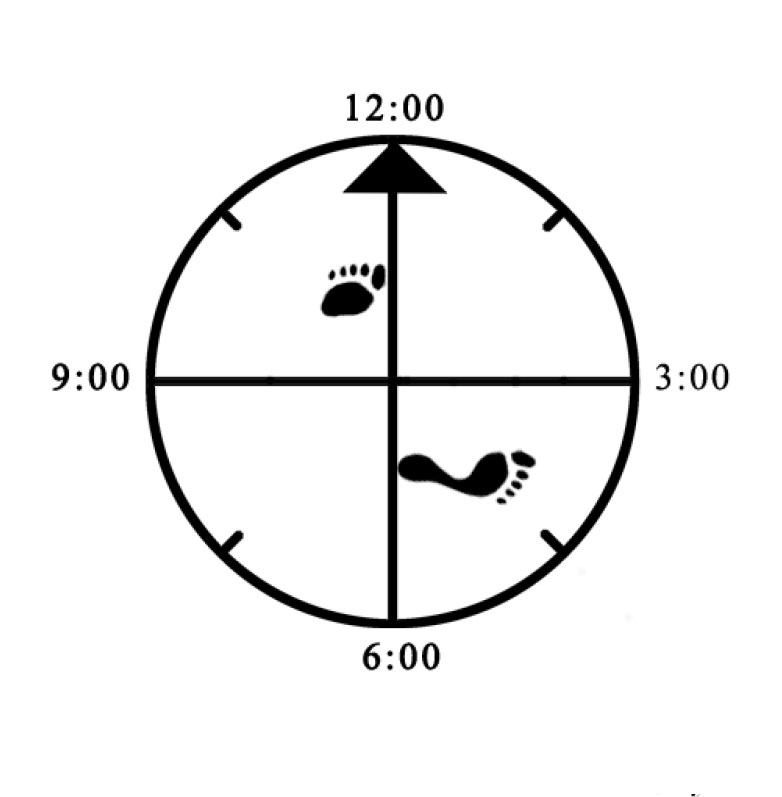 Example of improper foot rotation (rear - not facing forward at 45 degree angle) for 45 degree Cat (left) Example of improper foot rotation (rear - not facing forward at 45 degree angle) for 45 degree Cat (left)