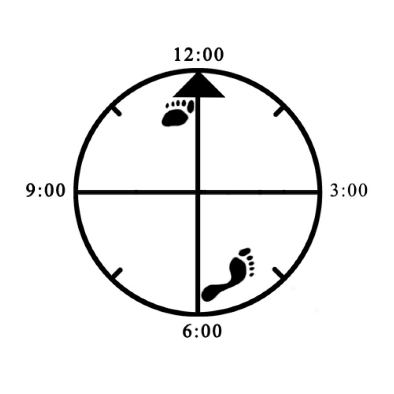 Example of improper depth alignment (1.5 "feet" / too deep) for 45 degree Cat (left) Example of improper depth alignment (1.5 "feet" / too deep) for 45 degree Cat (left)