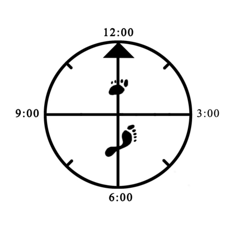 Example of improper width alignment (toe - heel / too narrow) for 45 degree Cat (left) Example of improper width alignment (toe - heel / too narrow) for 45 degree Cat (left)