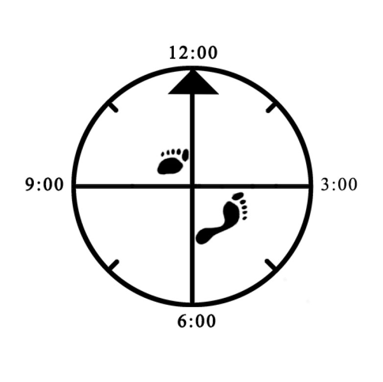 Example of improper depth alignment (1.5 "feet" / too shallow) for 45 degree Cat (left) Example of improper depth alignment (1.5 "feet" / too shallow) for 45 degree Cat (left)