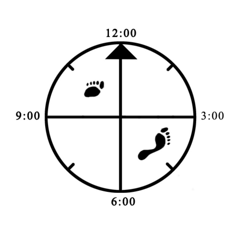 Example of improper width alignment (toe - heel / too wide) for 45 degree Cat (left) Example of improper width alignment (toe - heel / too wide) for 45 degree Cat (left)