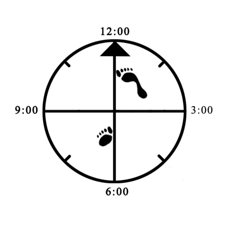 Example of rear heel not planted for Forward Bow Example of rear heel not planted for Forward Bow