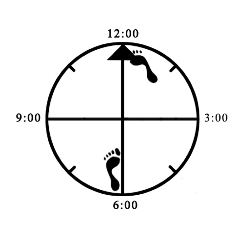 Example of improper depth alignment (heel - knee / too deep) for Forward Bow (right)