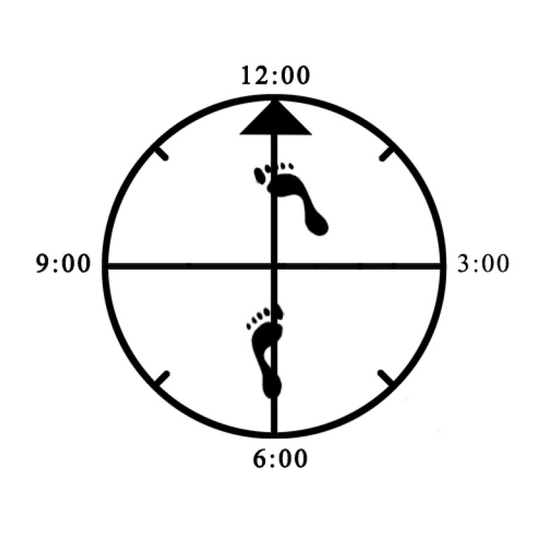 Example of improper width (narrow) for Forward Bow Example of improper width (narrow) for Forward Bow