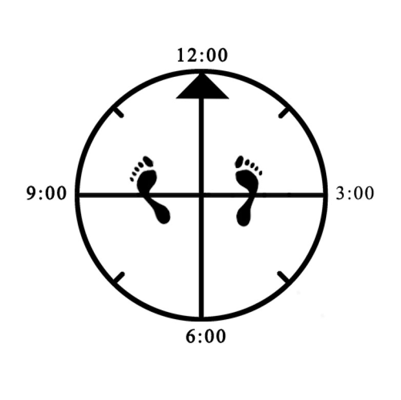 Example improper rotation of one foot (left - not pointing directly forward or slightly inward) for Horse