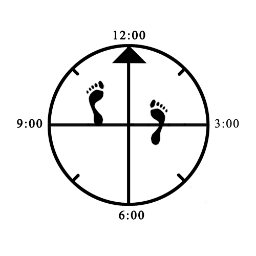 Example of bad toe-toe / heel - heel alignment for Horse