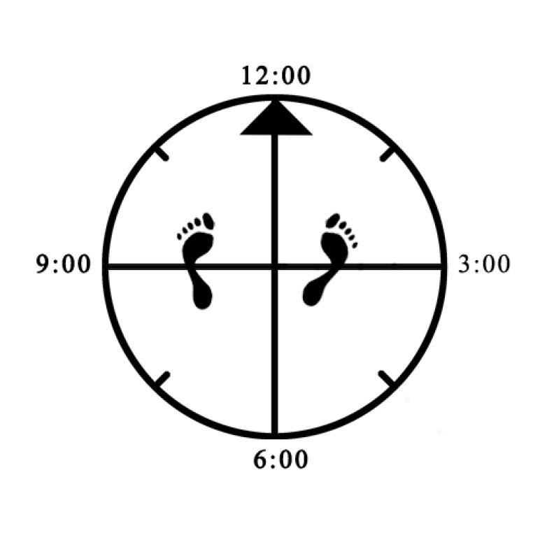 Example improper rotation of one foot (right - not pointing directly forward or slightly inward) for Horse