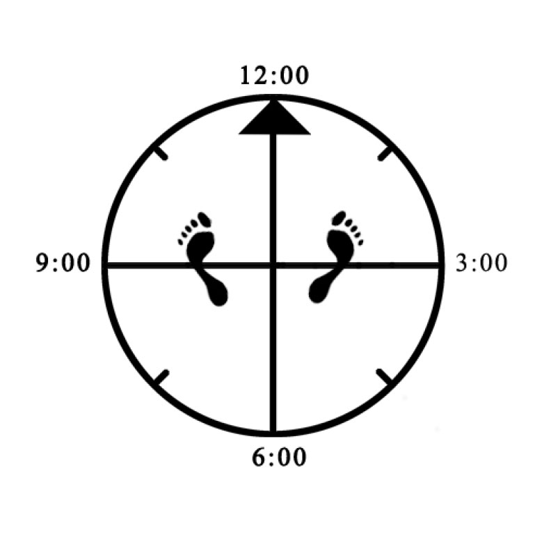 Example of toes pointing out for Horse