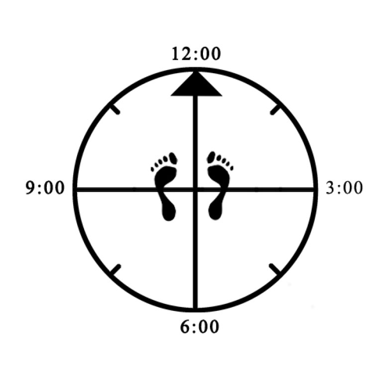 Example of improper depth (too shallow) for Fighting Horse