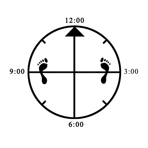 Example horse being too wide