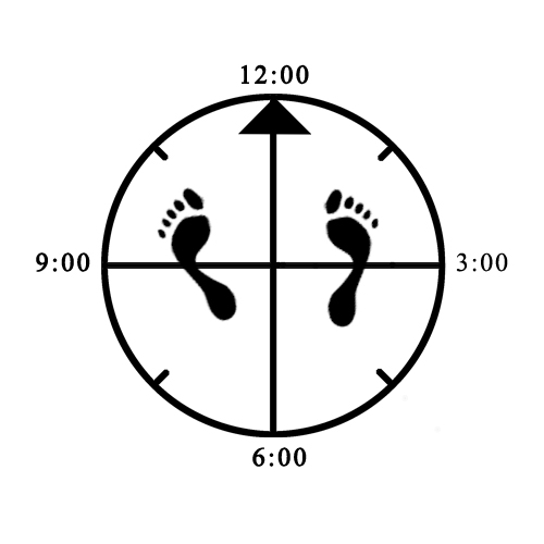 Example of bad front foot angle for Fighting Horse