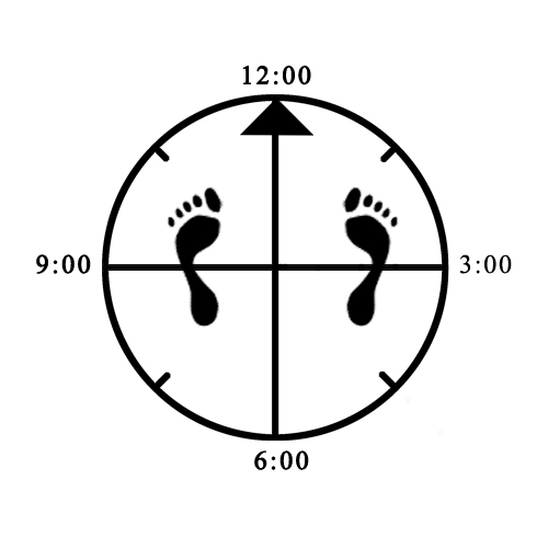 Example of improper foot alignment for offset Horse