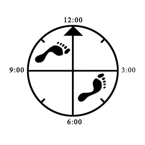Example of improper foot rotation (both) for offset Horse