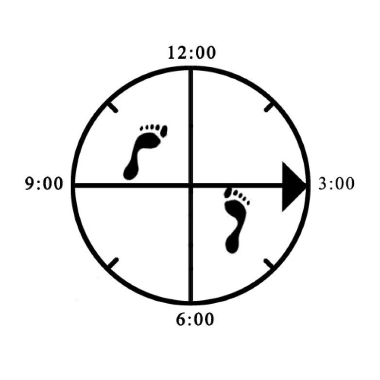 Example of improper foot rotation (rear - not pointing directly to side) for offset Horse (right)