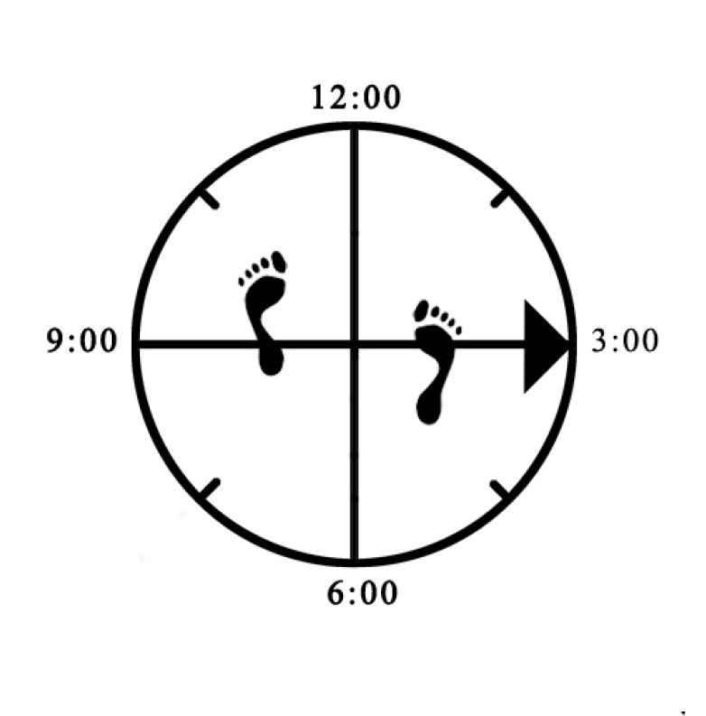 Example of improper width alignment (toe - heel / too narrow) for offset Horse (right)