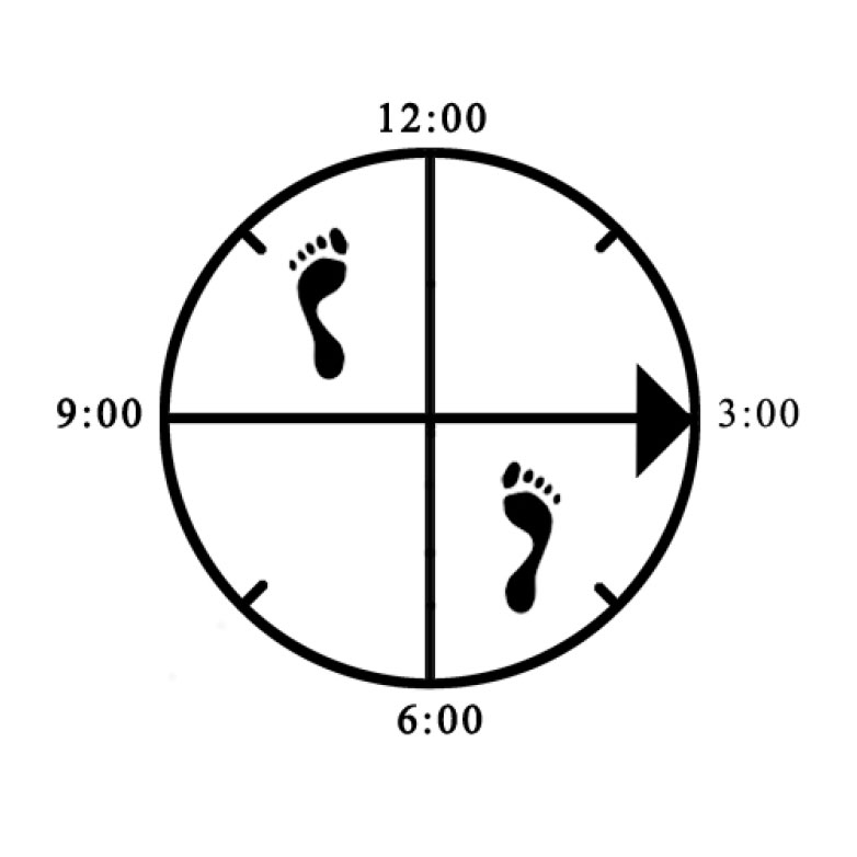 Example of improper width alignment (toe - heel / too wide) for offset Horse (right)