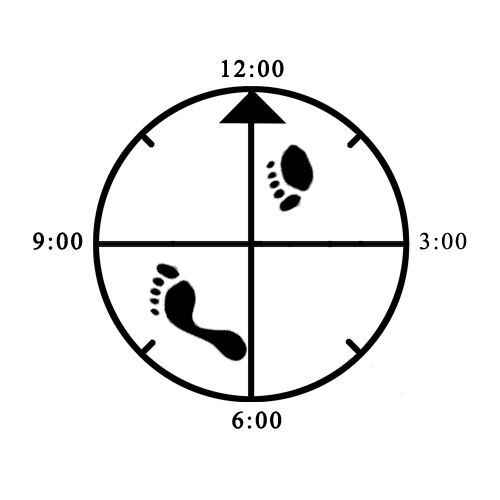 Example of improper front foot rotation for rear 45 degree Cat