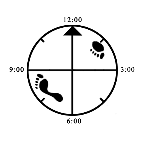 Example of improper width alignment for rear 45 degree Cat