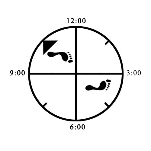 Example of improper foot rotation (both) for Reverse Bow (left)