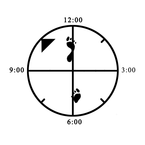 Example of improper width alignment (heel - toe / too wide) for Twist (front / right) Example of improper width alignment (heel - toe / too wide) for Twist (front / right)