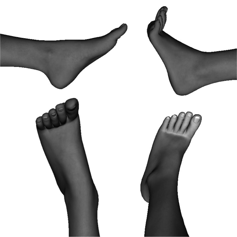 Example of improper front kick formation / alignment toes not bent, ankle bent up, ankle bent to side, over rotated