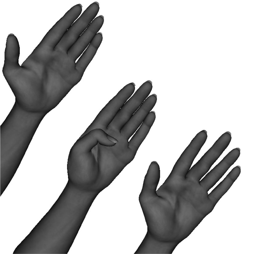 Example of improper hand-sword formation thumb not tucked, thumb over tucked, fingers spread