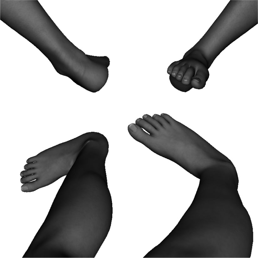 Example of improper side kick formation / alignment ankle improperly bent, toes rolled over, improper rotation - over / under