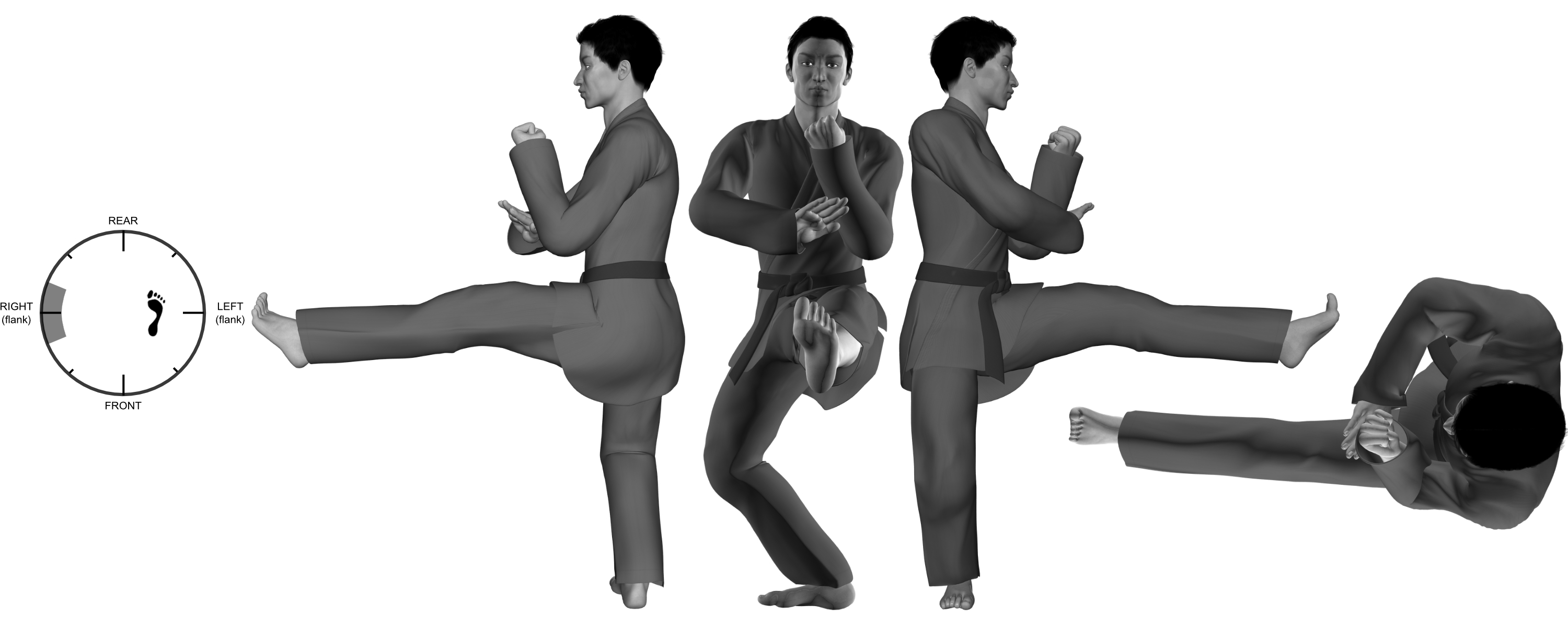 1c) (left) front (ball) kick from (right) one-legged stance 1c) (left) front (ball) kick from (right) one-legged stance