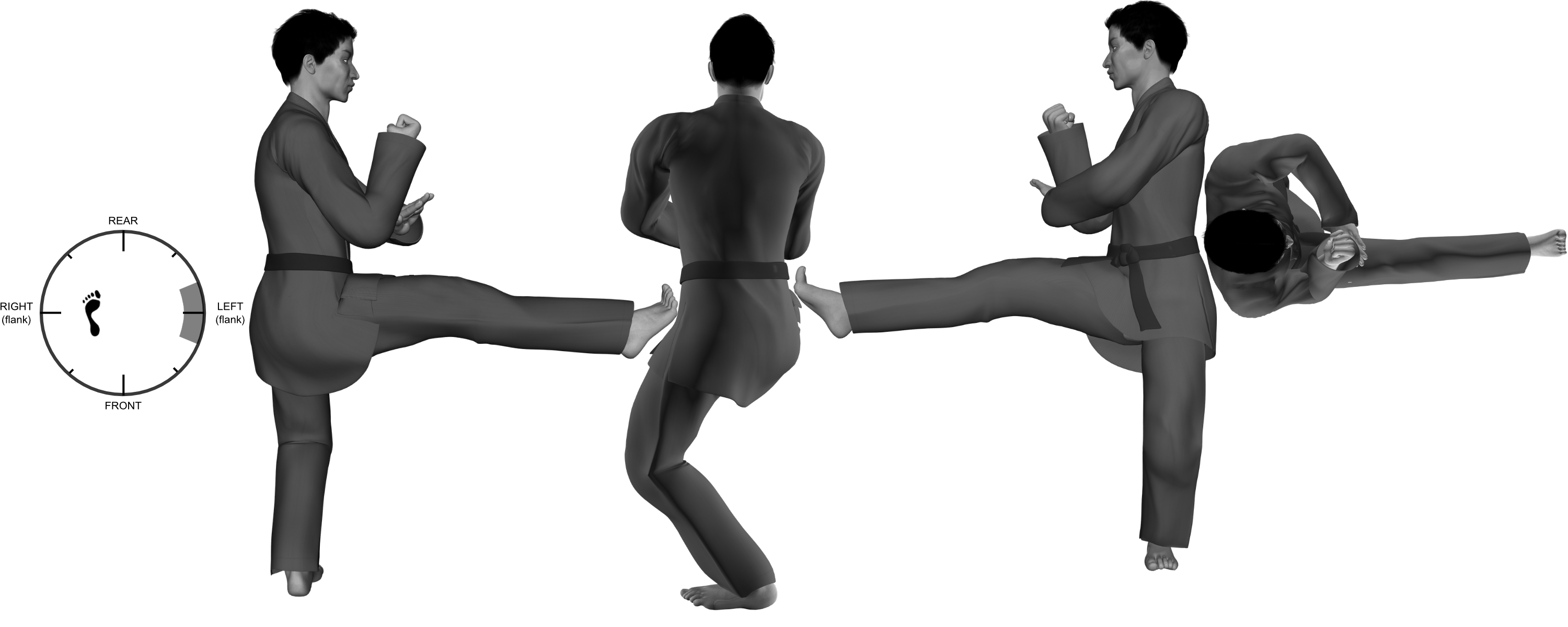 1c) (right) front (ball) kick from (left) one-legged stance 1c) (right) front (ball) kick from (left) one-legged stance