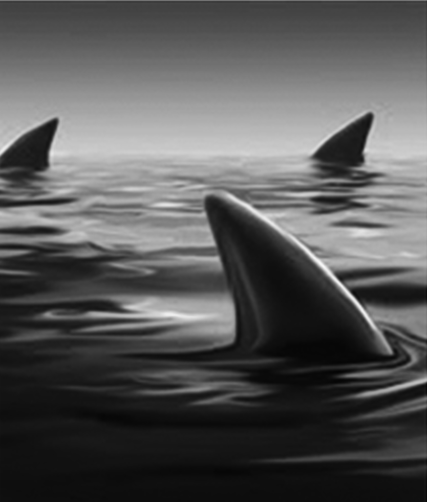 circling_the_horizon