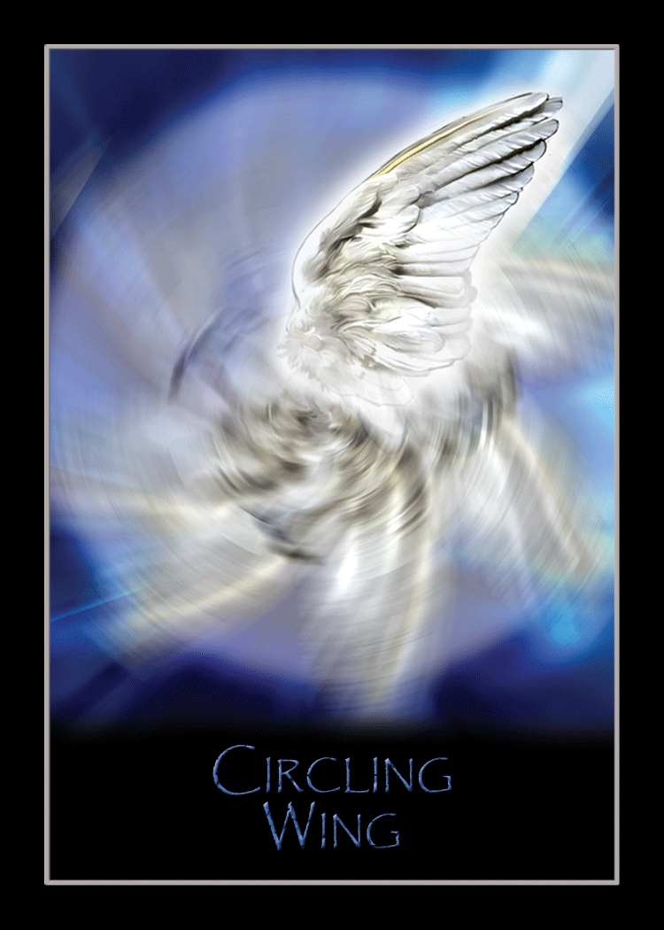 circling_wing