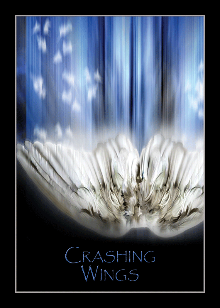crashing_wings