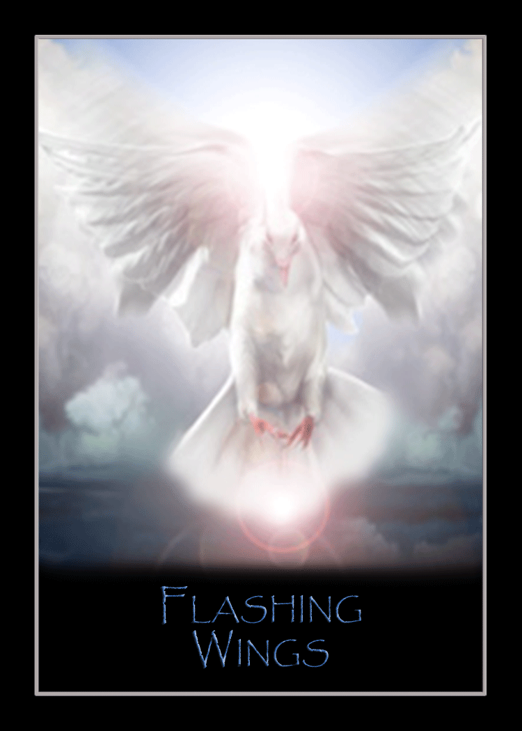 flashing_wings