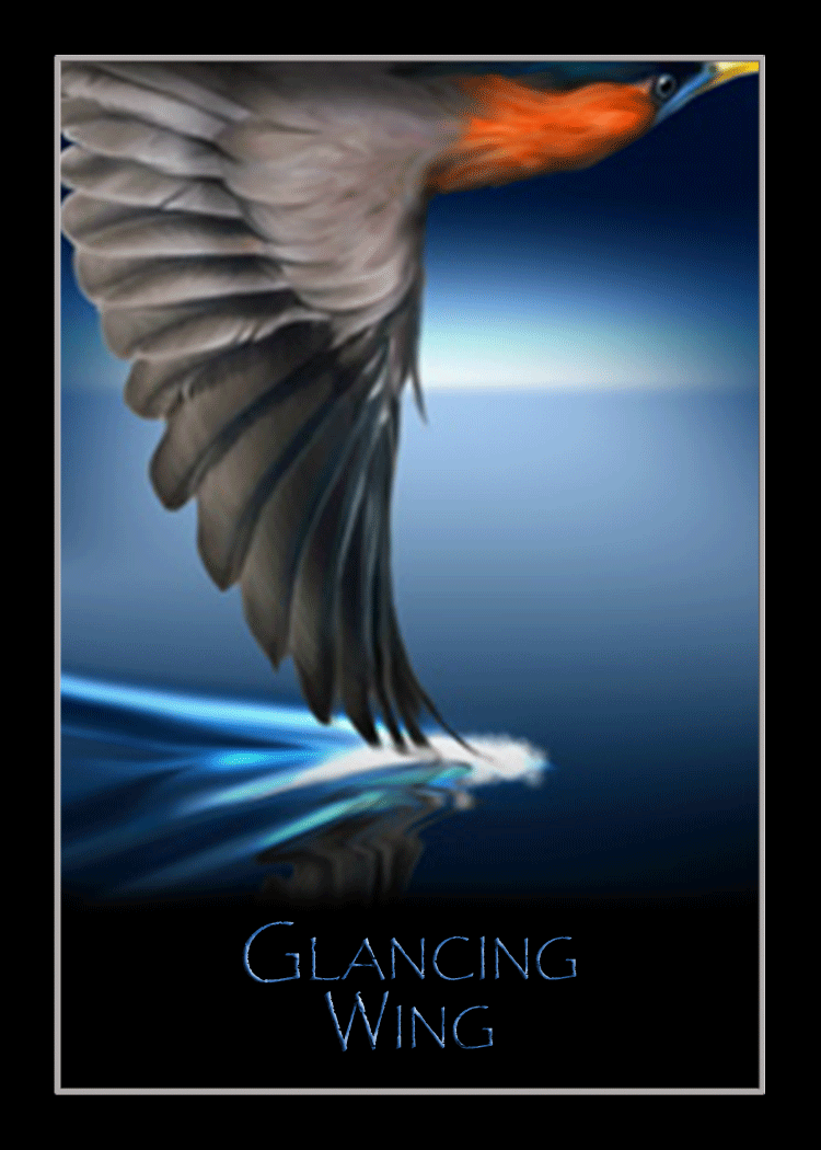 glancing_wing