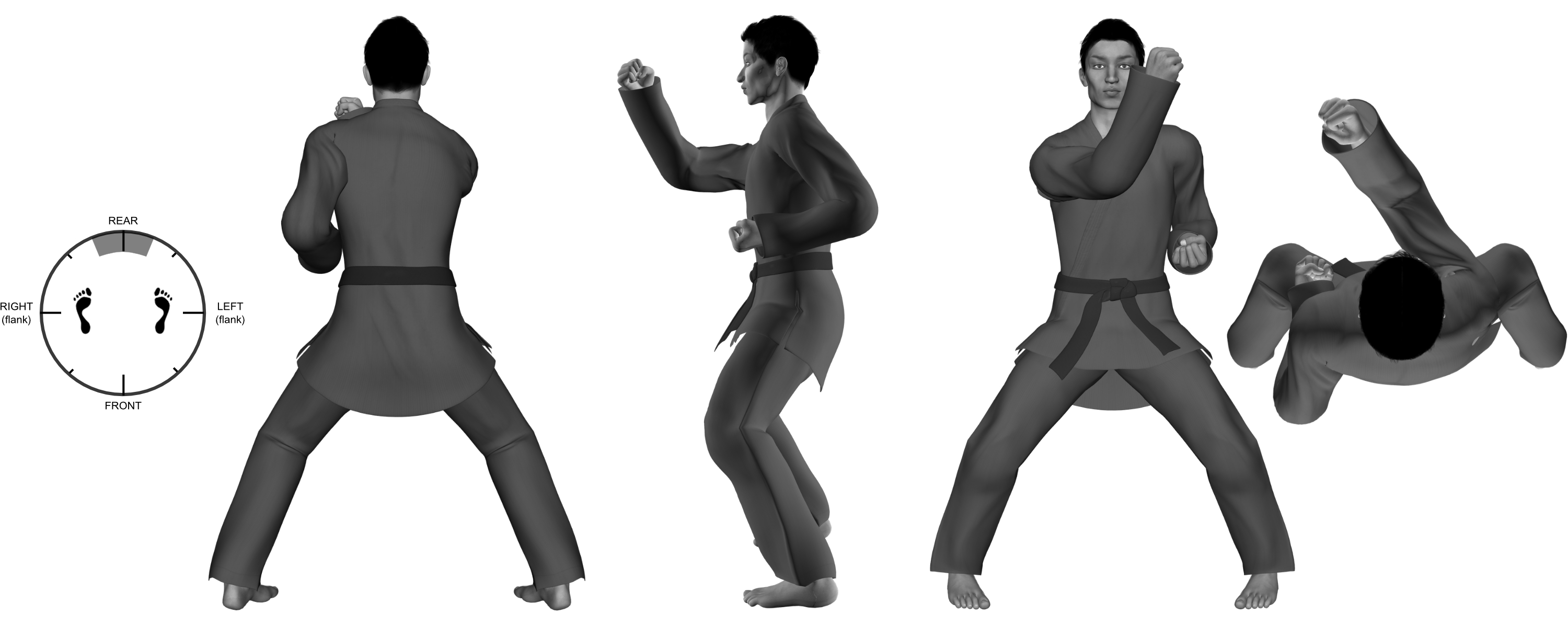 4) (right) inward forearm from horse