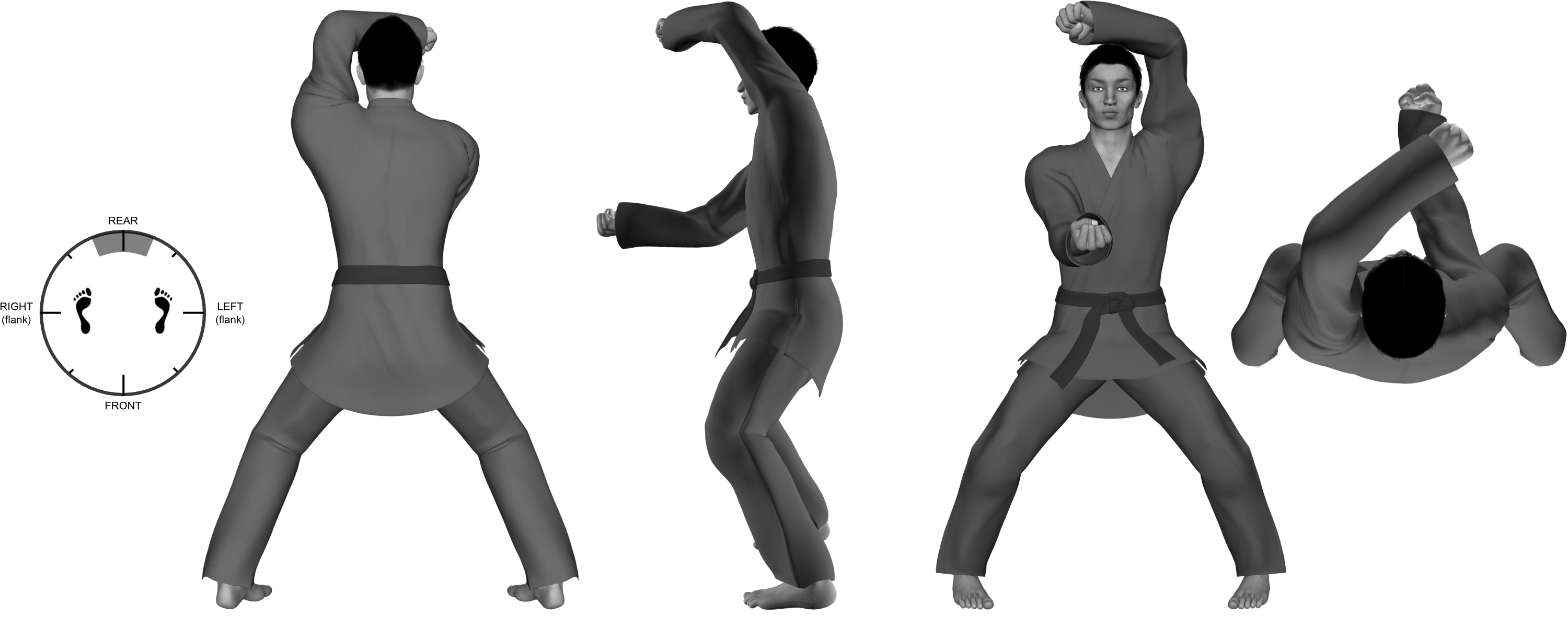 2i) (left) upward forearm with (right) inward forearm from horse