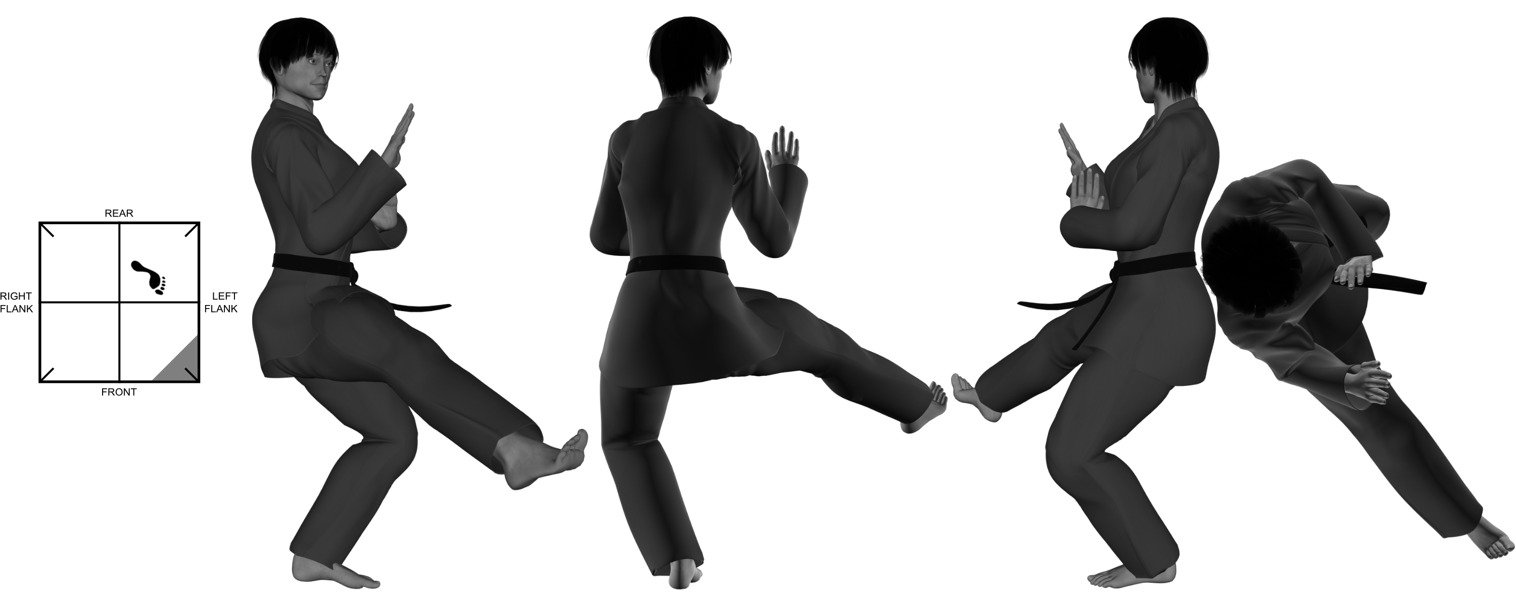 8b) (right) front kick (chicken) from (left) one-legged stance