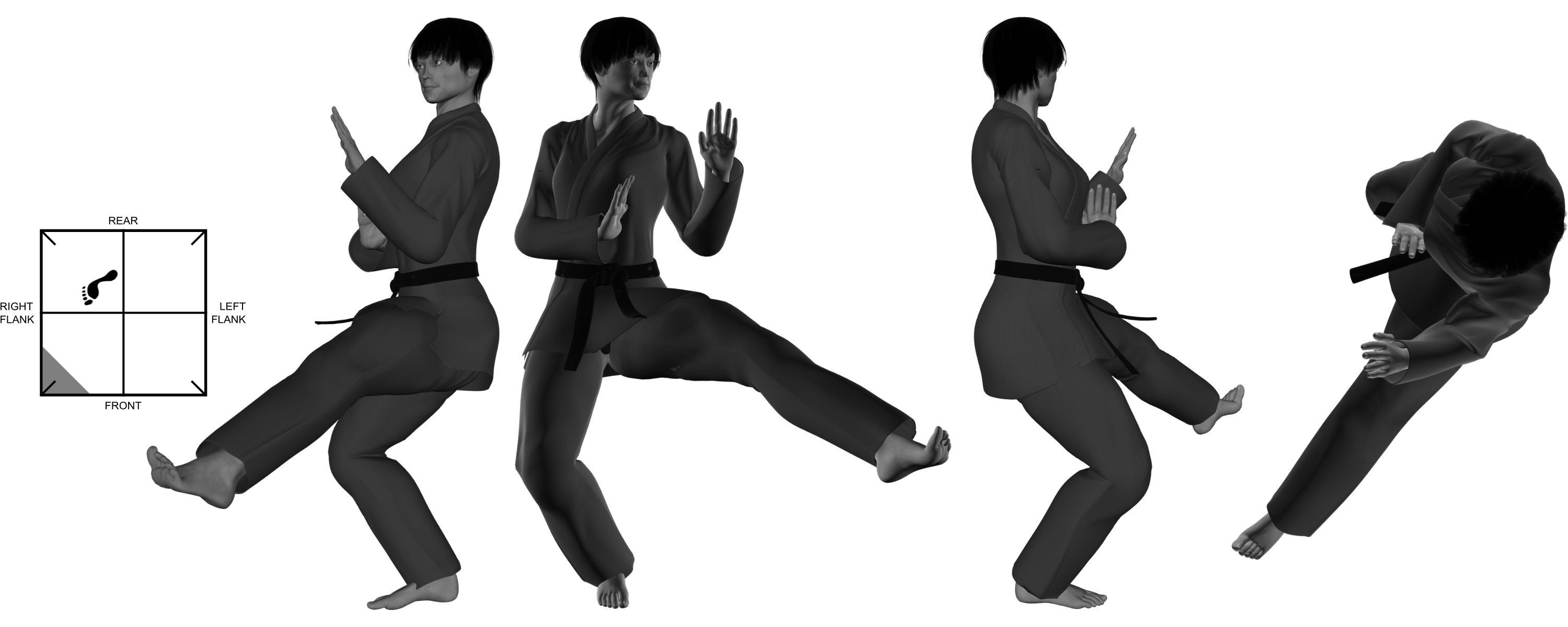 8b) (left) front kick (chicken) from (right) one-legged stance