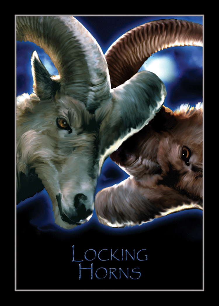 locking_horns
