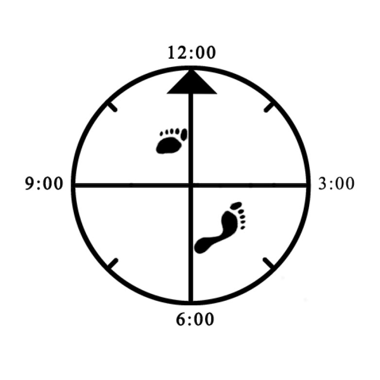 Example of proper 45 degree Cat (left) Example of proper 45 degree Cat (left)