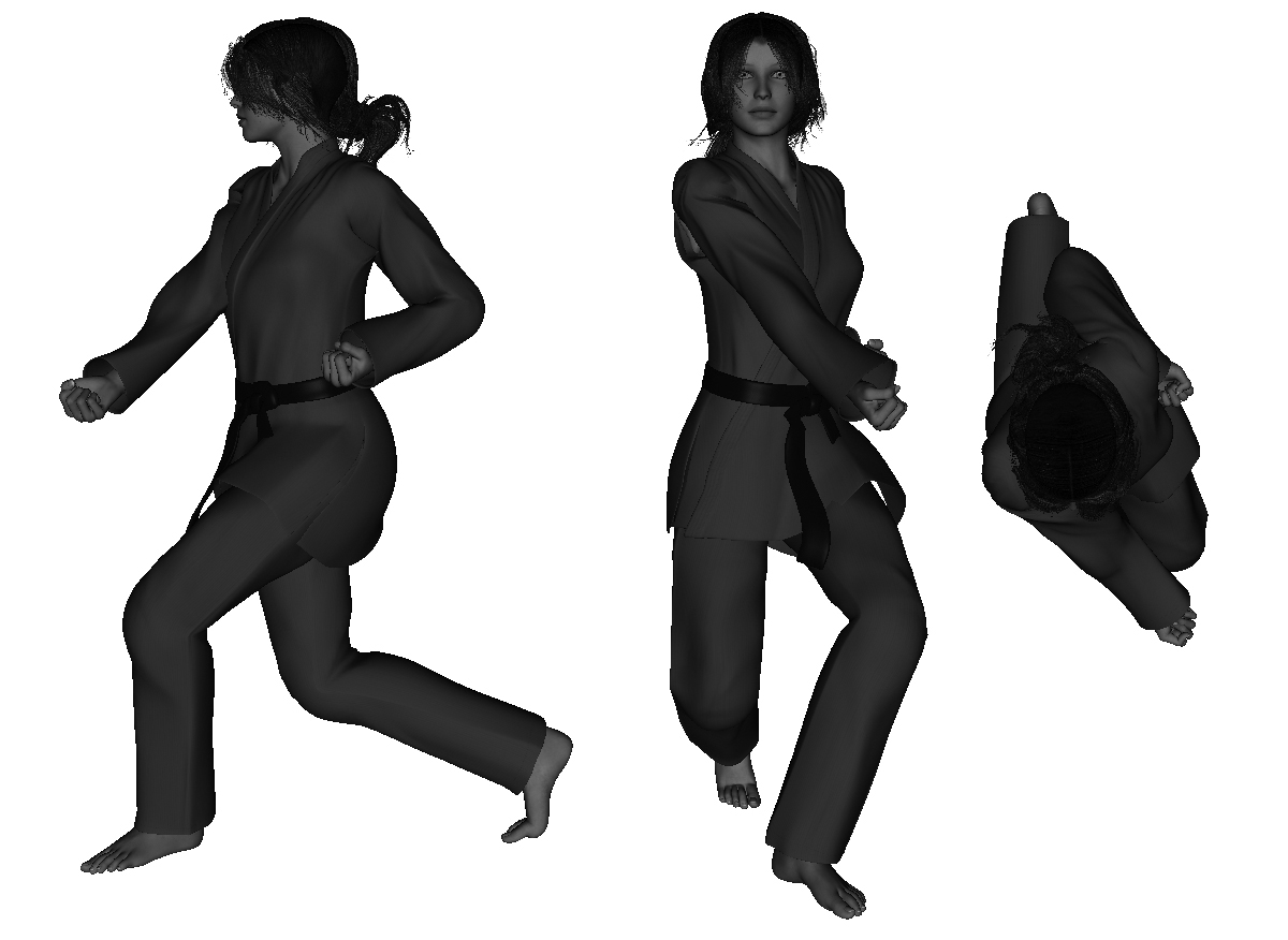 Example of proper Inside Downward - Palm-Up &nbsp;Block (right) (from twist stance)