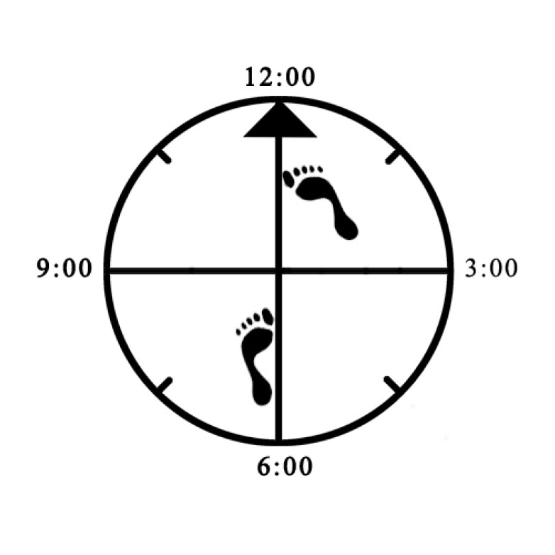 Example of Proper Forward Bow Example of Proper Forward Bow