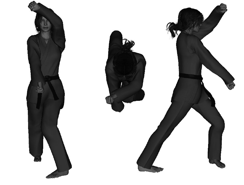 Example of a proper forward, underhand, reverse hammer-fist (right) (with block - from forward bow)