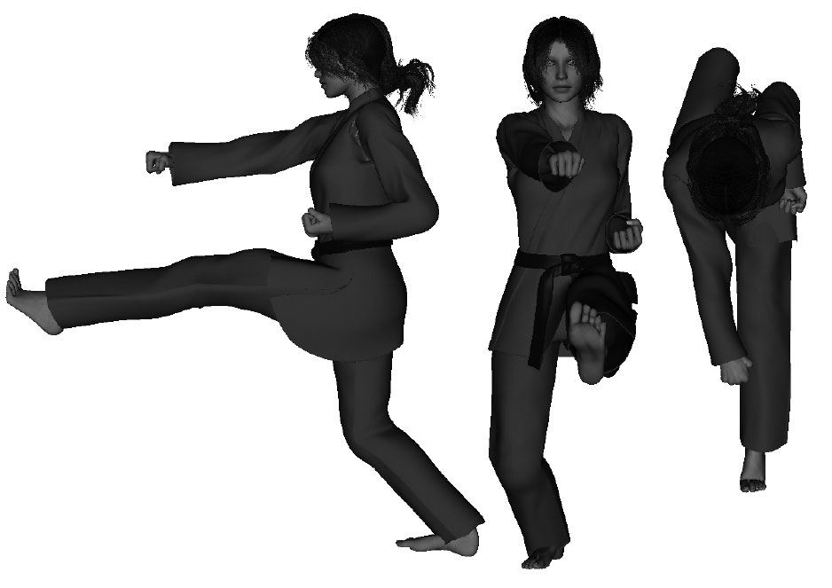 Example of a proper front kick (left) (with punch)